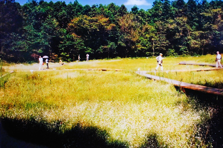 「吉賀池湿地」　　松本　弘康