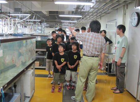 基礎生物学研究所 写真3